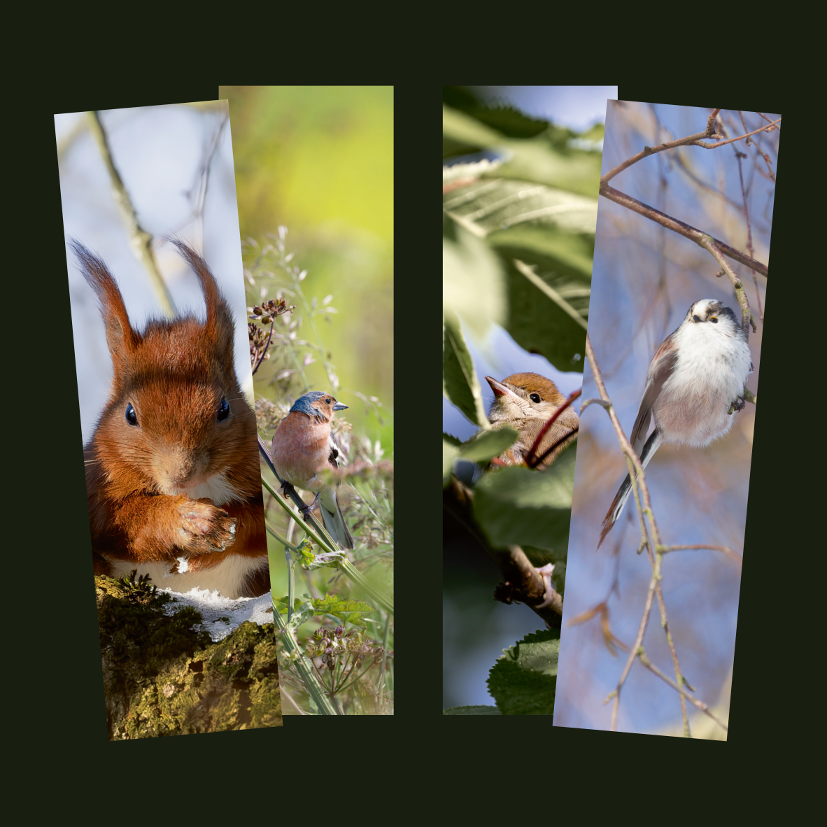 Lesezeichen mit Naturmotiven