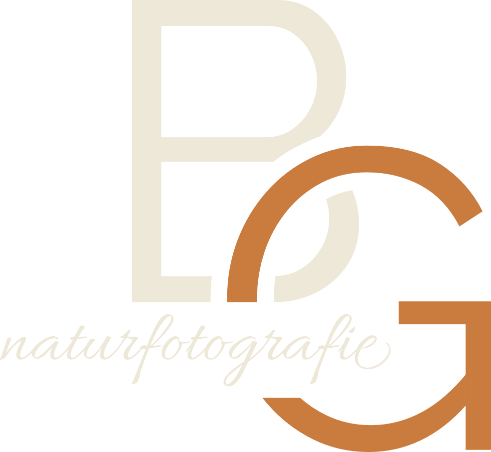 BG Naturfotografie